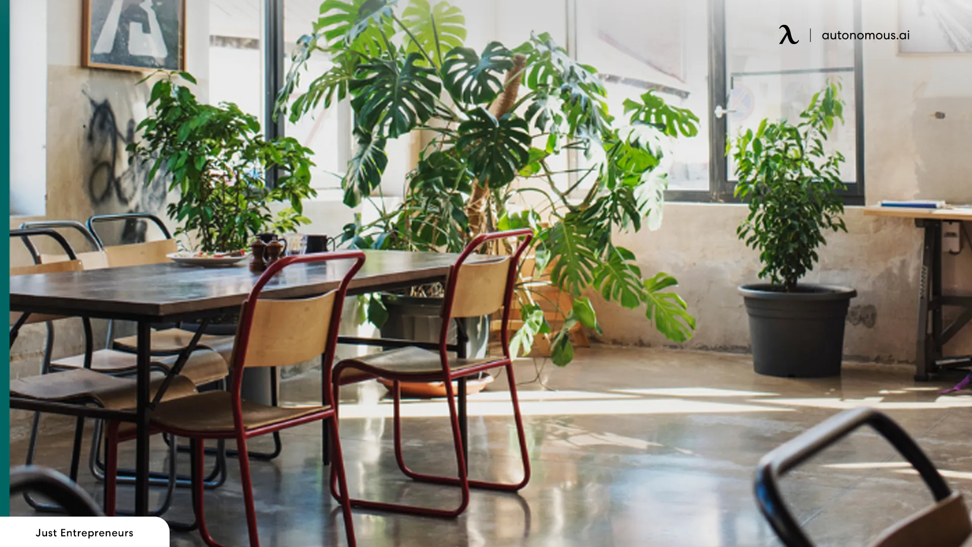 Decorate with Plants - warehouse office design
