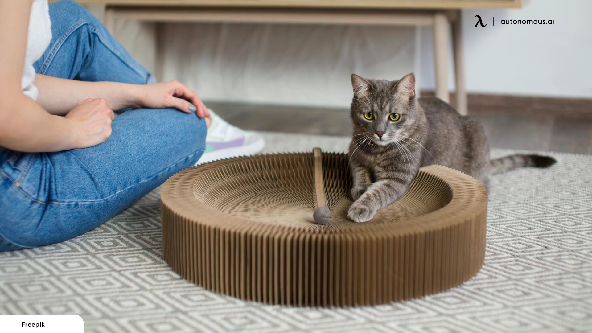 Give Your Cat Something to Scratch