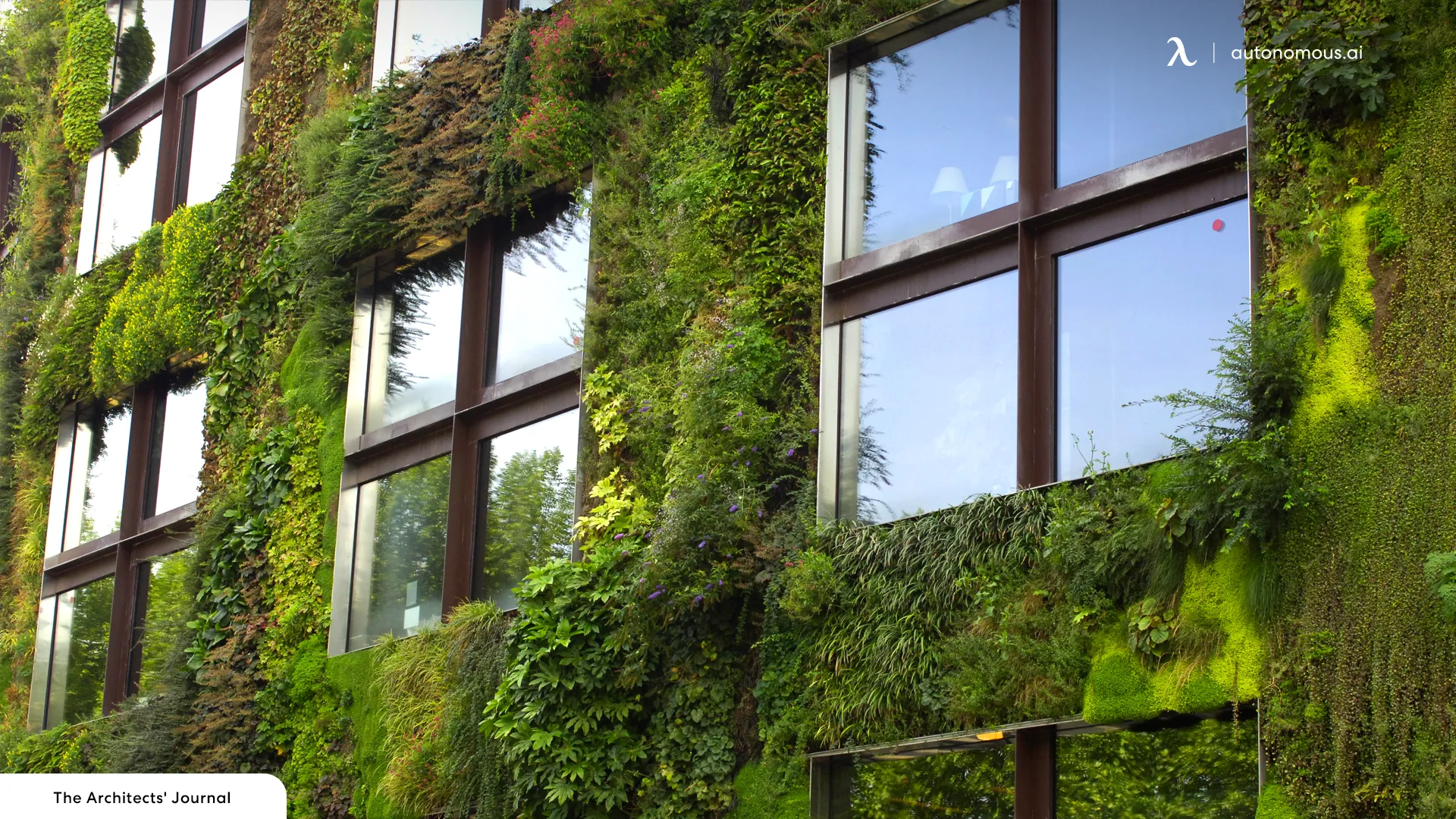 Create a green roof or living wall - sustainable office design