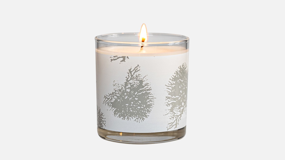 Artistscent Coral Scented Candle