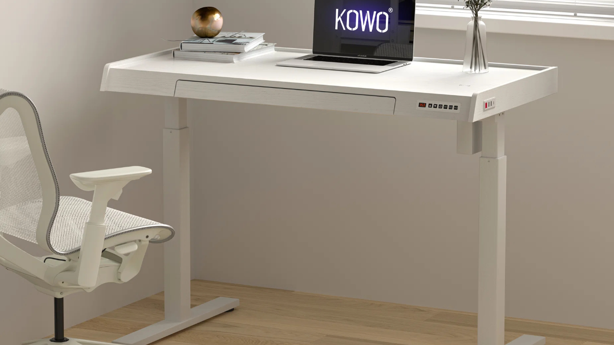 コンピュータ・IT kd Kowo K309 Electric Standing Desk: Child Lock & USB Ports