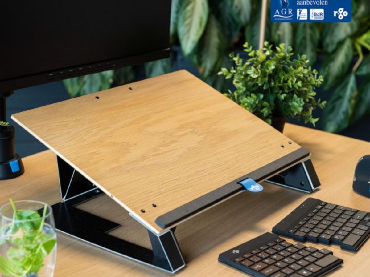 R-Go Tools R-Go Read2Write Document holder: Ergonomic