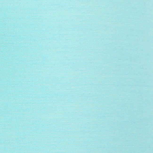 Brushed Steel/Aqua Shade