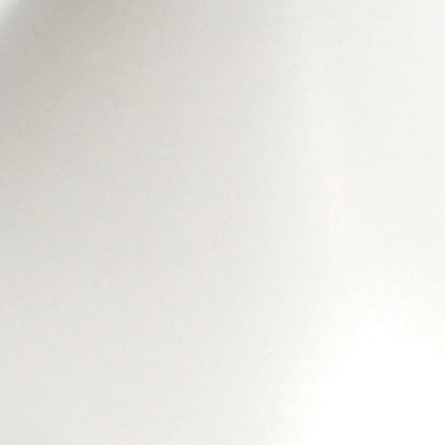 White/White Shade