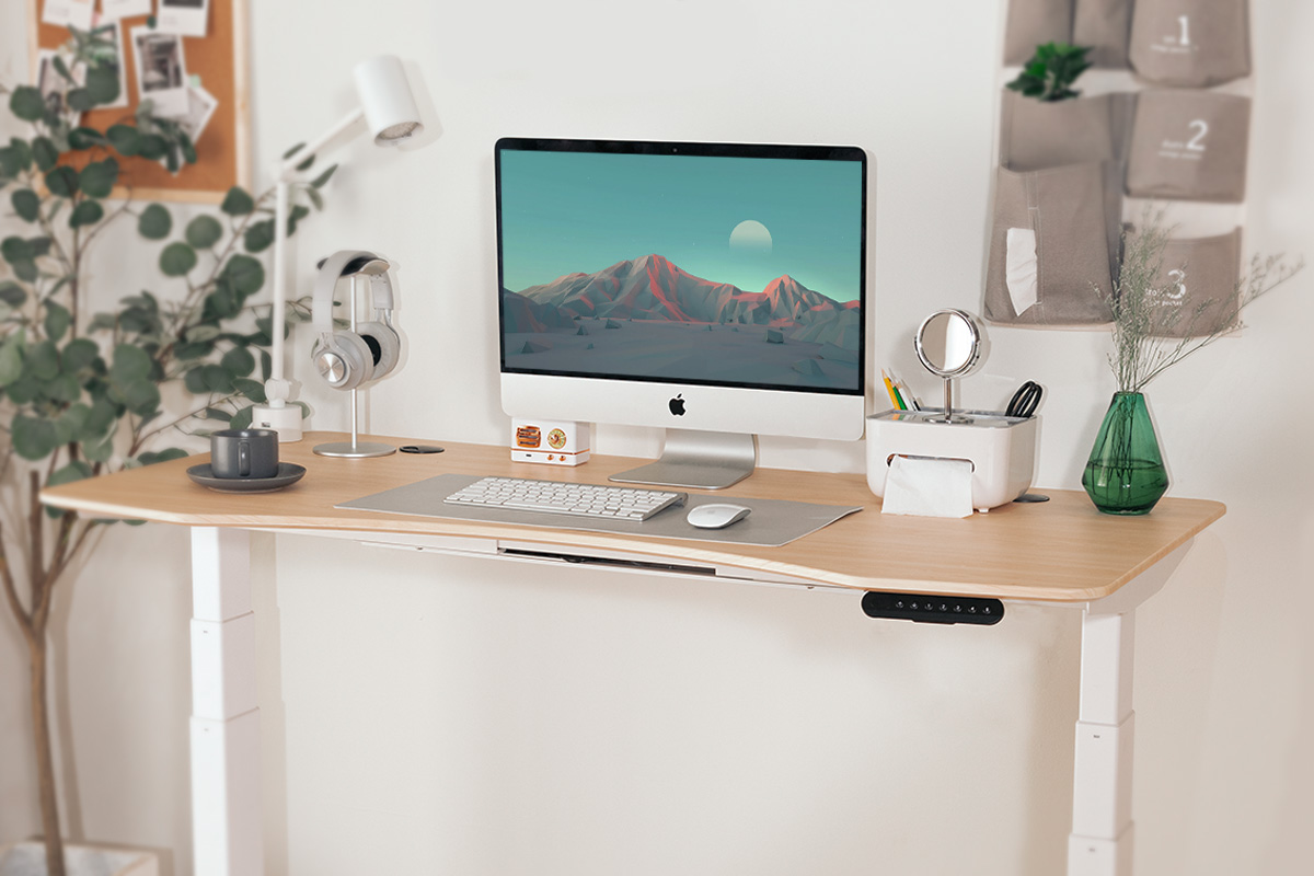 Max Series Standing Desk with Contour Top Max Series Standing Desk with Contour Top