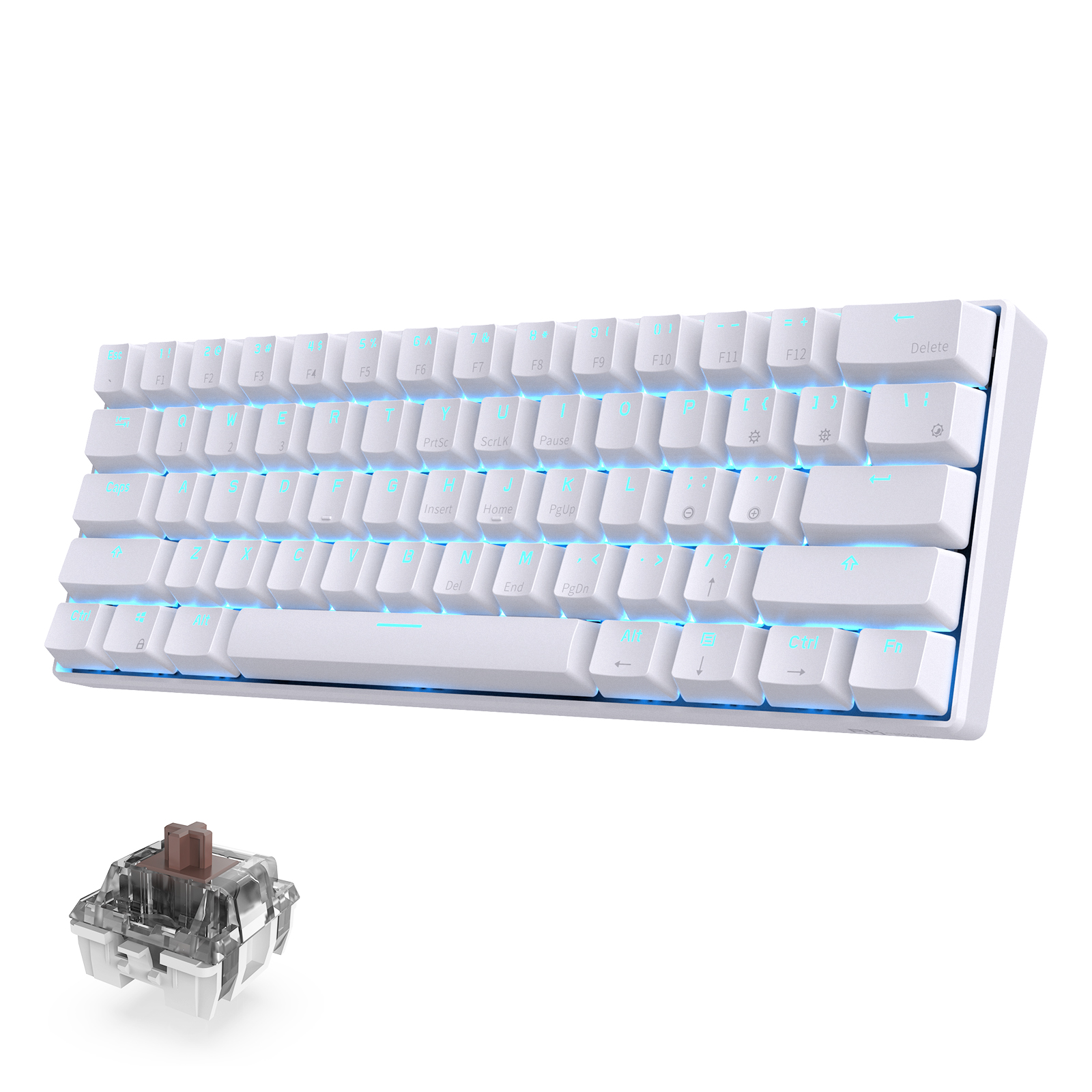  RK ROYAL KLUDGE RK61 Wireless 60% Triple Mode BT5.0/2.4G/USB-C  Mechanical Keyboard, 61 Keys BT Wireless Mechanical Keyboard, Compact  Gaming Keyboard with Software (Hot Swappable Blue Switch, White) : Video  Games