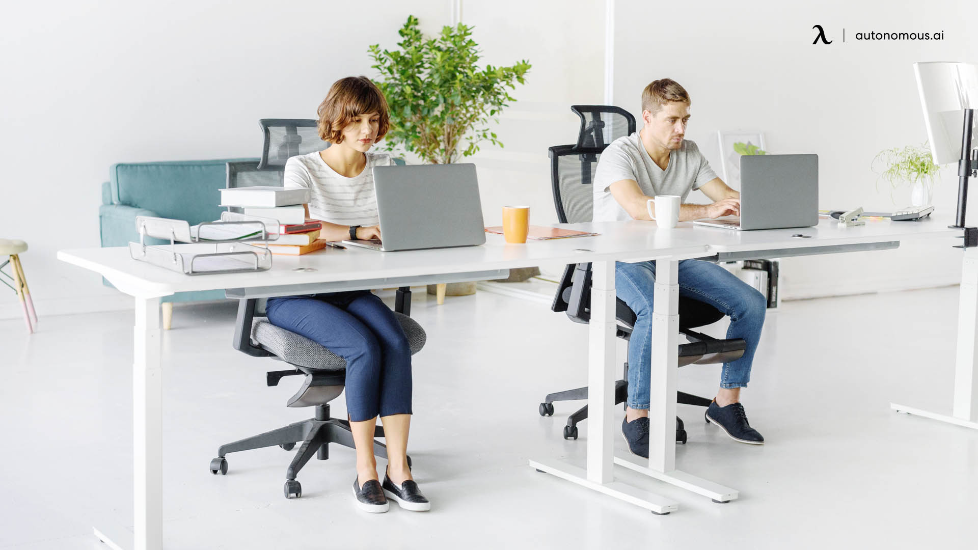 10 Best Ergonomic Chair in Australia: Top Seat Choices for 2022