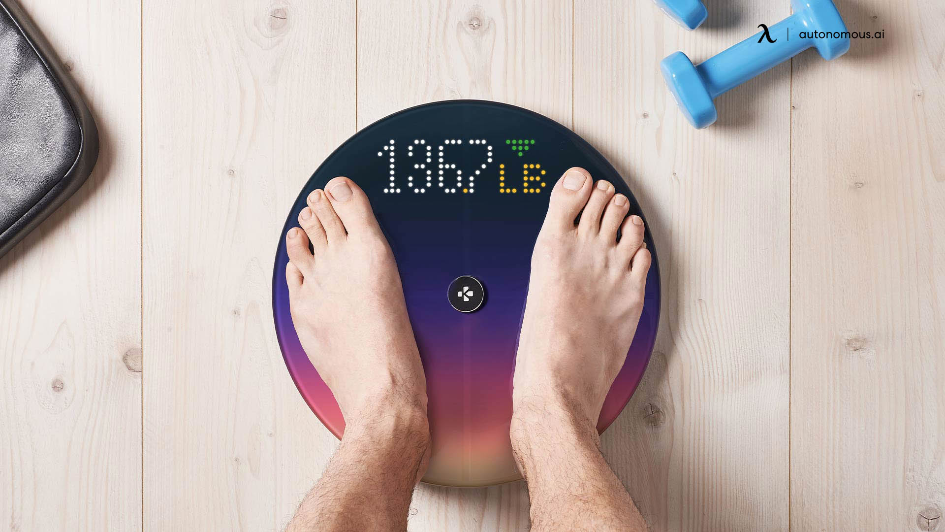 10 Best Smart Scales of 2022: BMI, Muscle Mass, Body Fat & More