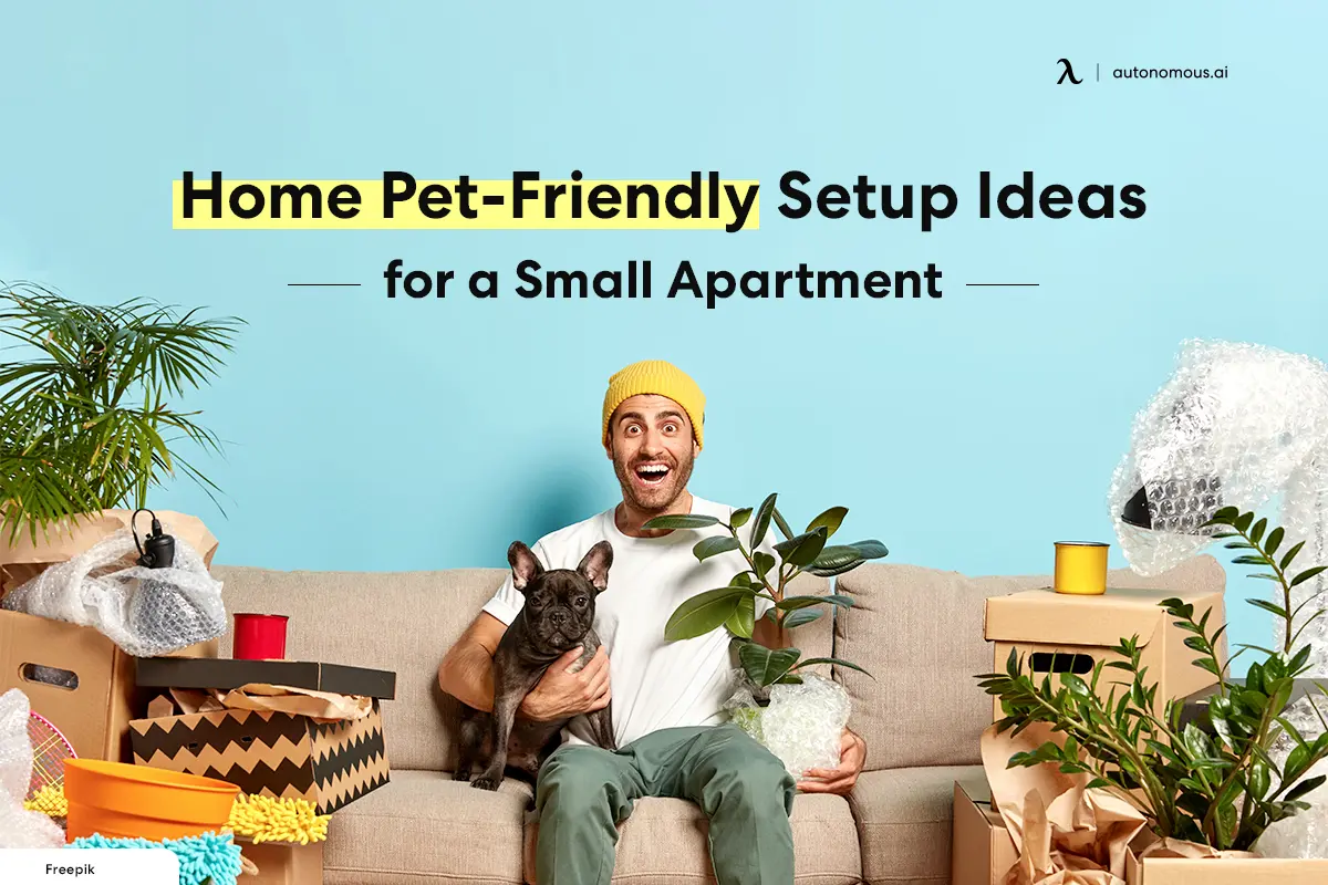 10 Home Pet-Friendly Setup Ideas for a Small Apartment