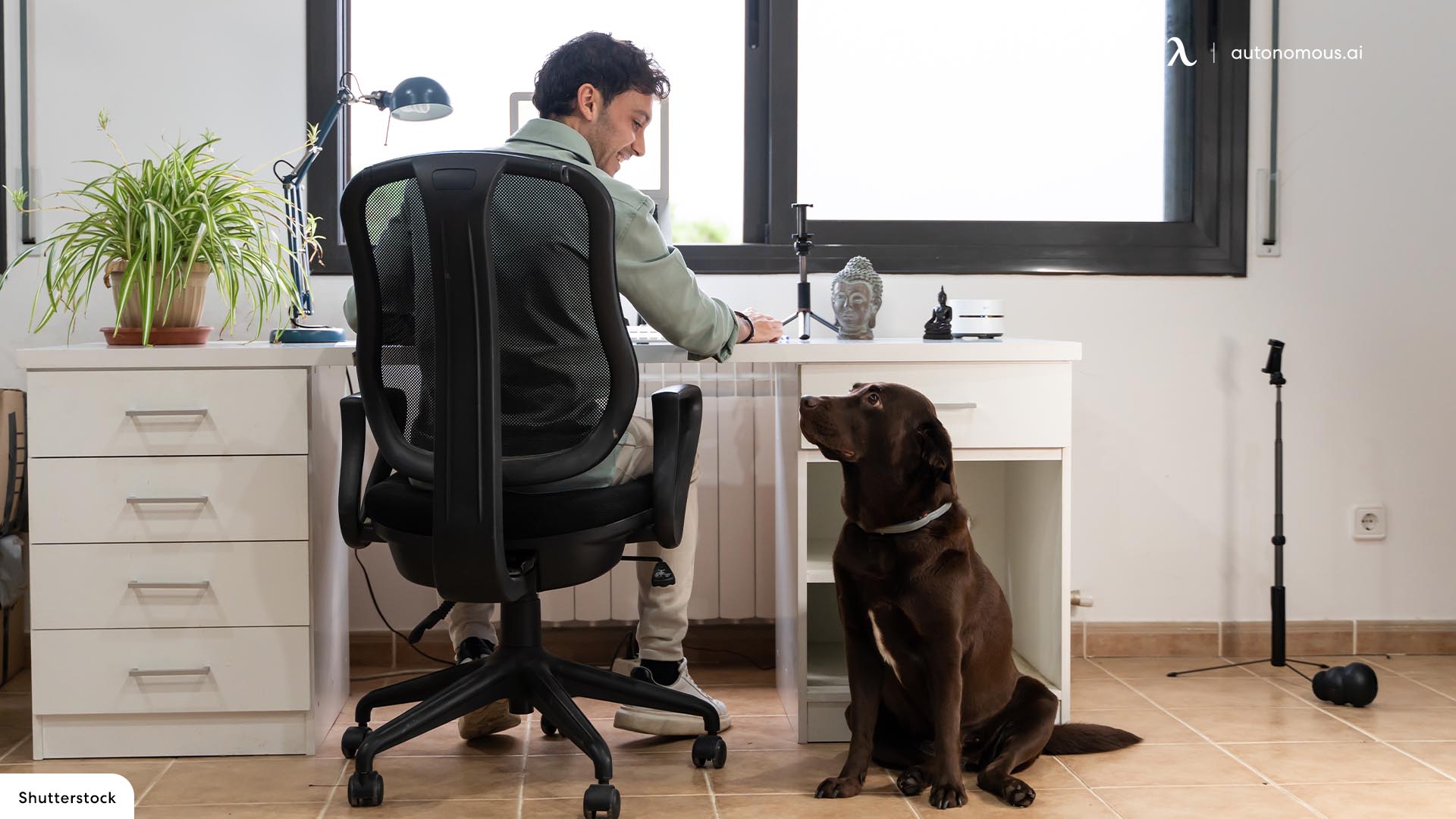10 Best Orthopedic Office Chairs for Back Pain
