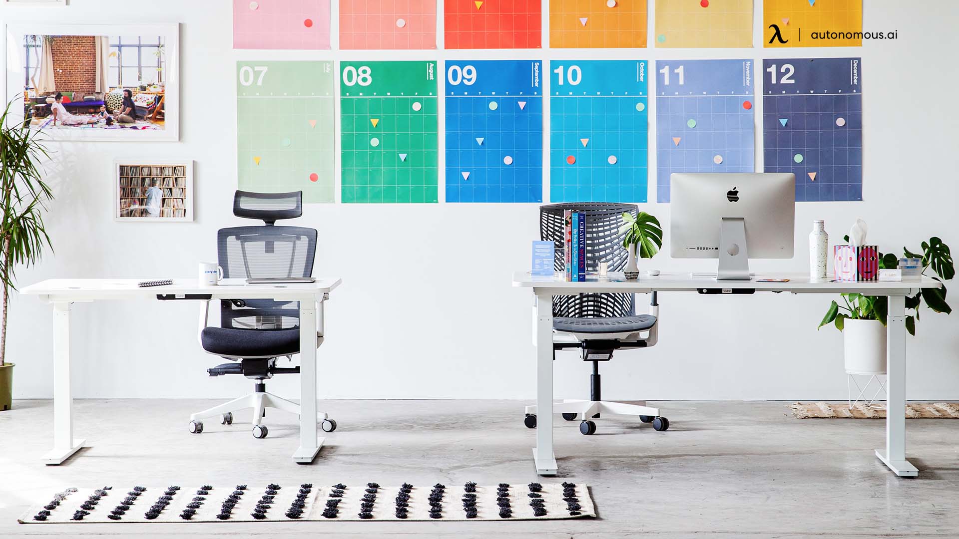 10+ Popular Office Chair Styles for Every Office