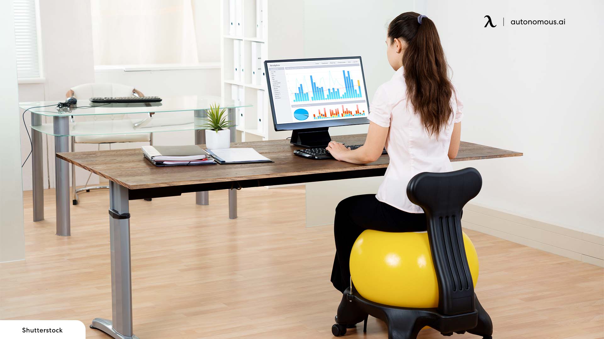 10 Stability Ball Chairs for Office - Pros & Cons
