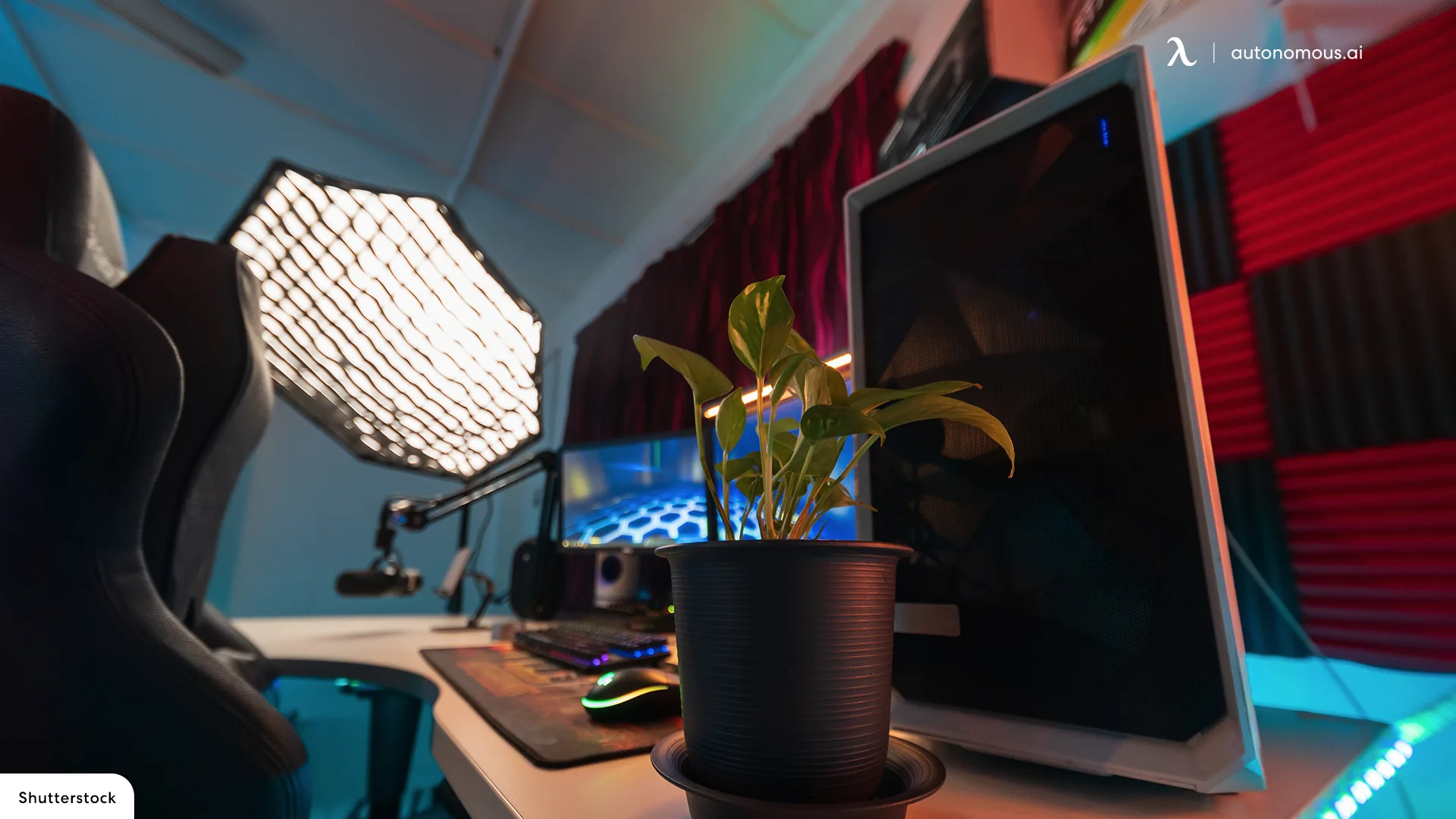 10 Ways to Create a Plant Gaming Setup