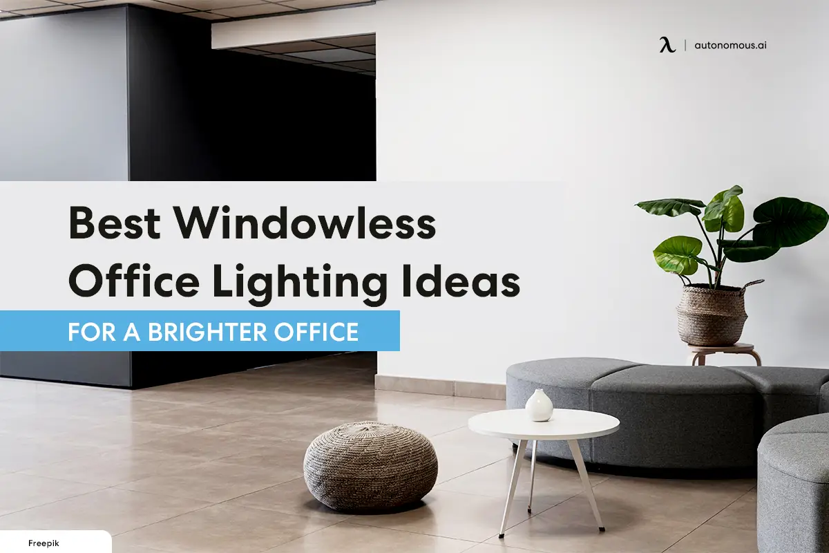 11 Best Windowless Office Lighting Ideas For a Brighter Office