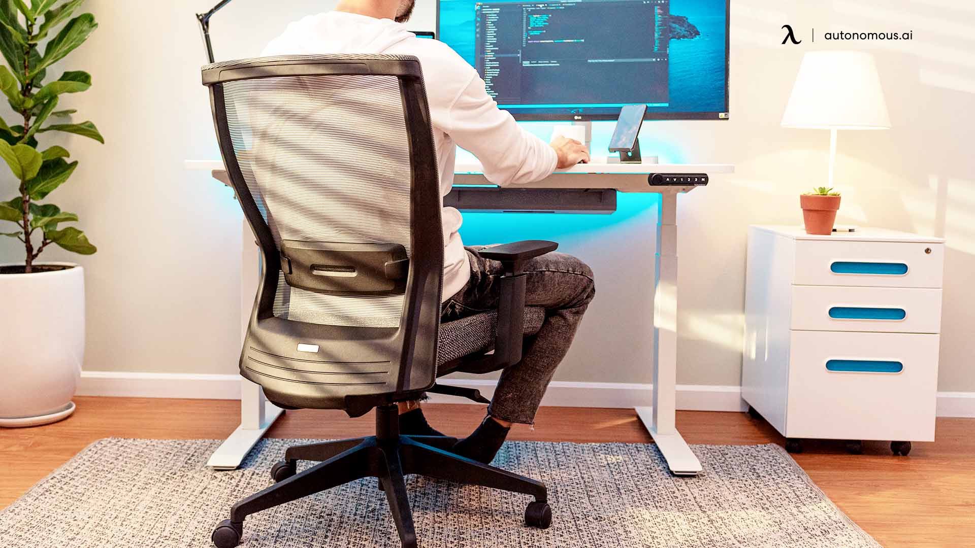 19 Best Mesh Ergonomic Office Chairs with a Review/Rating
