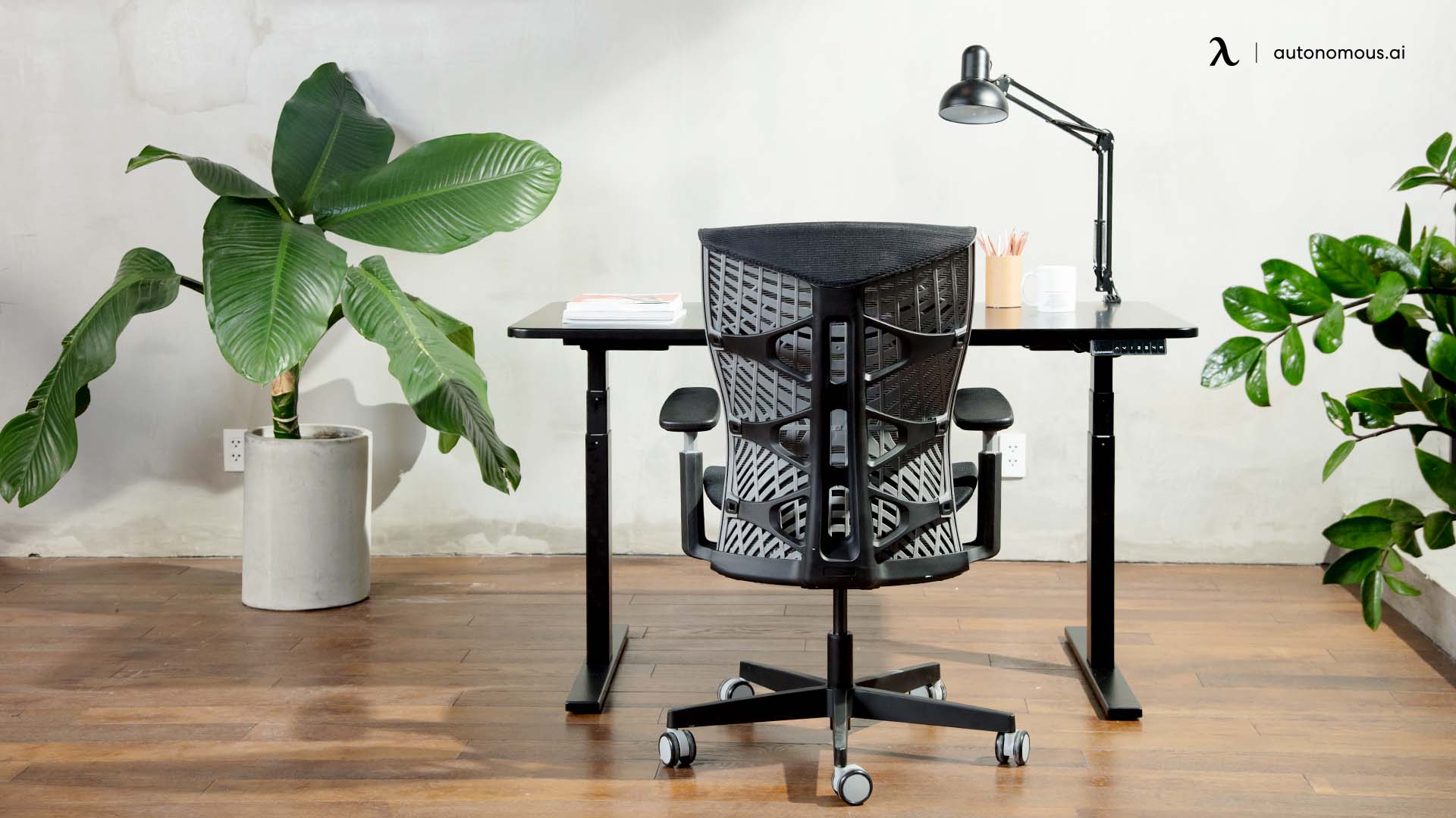 The 20 Best Standing Desk Options for 2022