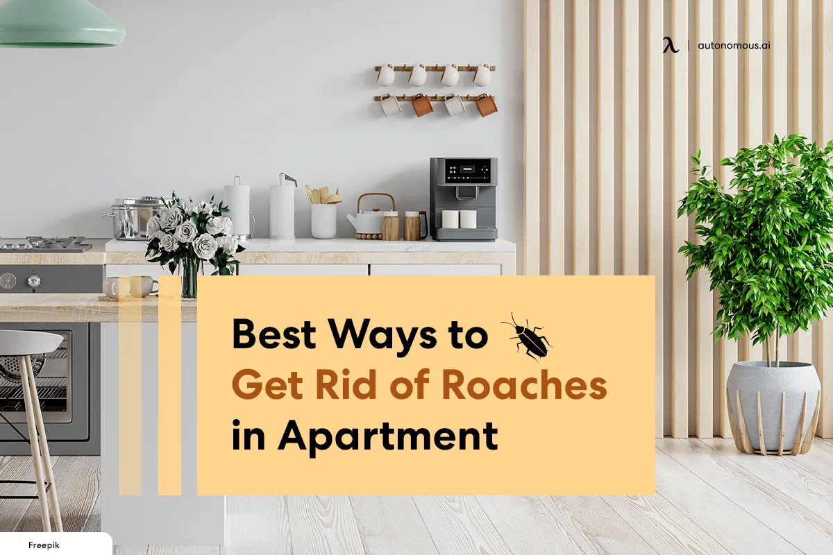 6 Best Ways to Get Rid of Roaches in Apartment