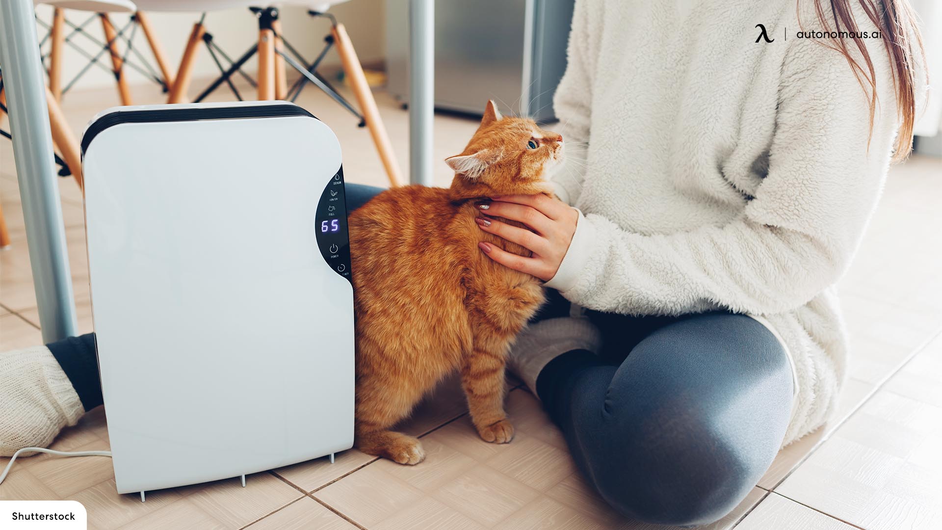 The 8 Best Air Purifiers for Pets In 2022