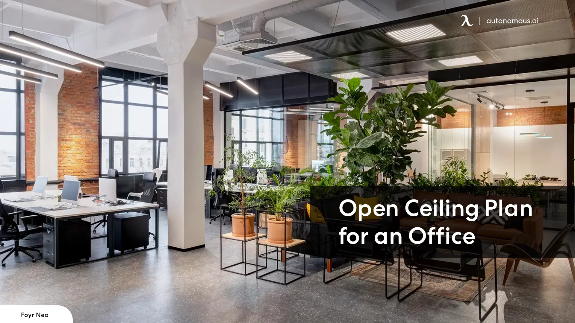 Light and Airy: The Benefits of an Open Ceiling Office Layout