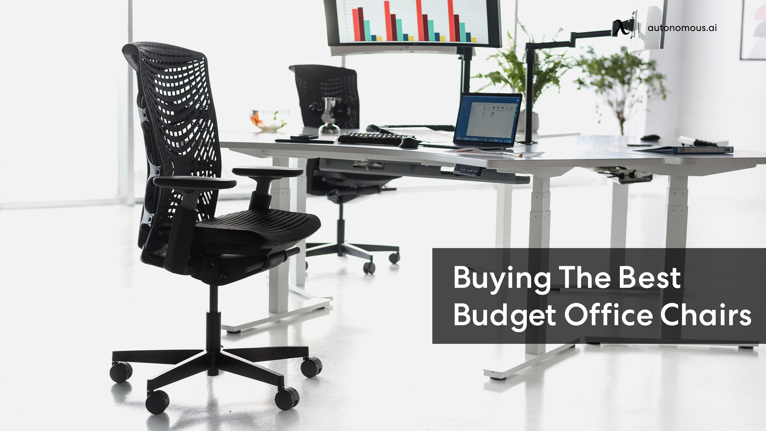 Best Budget Office Chairs: Guide to Finding the Best Deals and Retailers