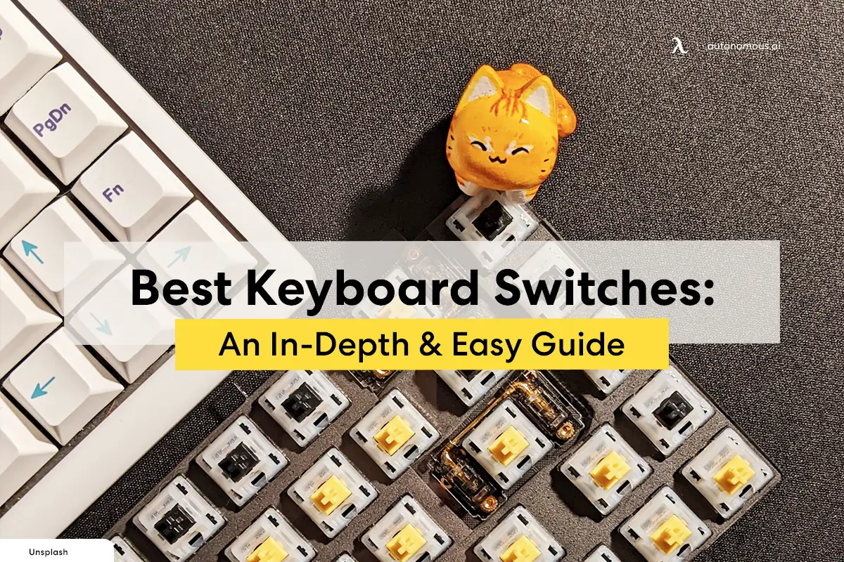 Best Keyboard Switches: An In-Depth & Easy Guide