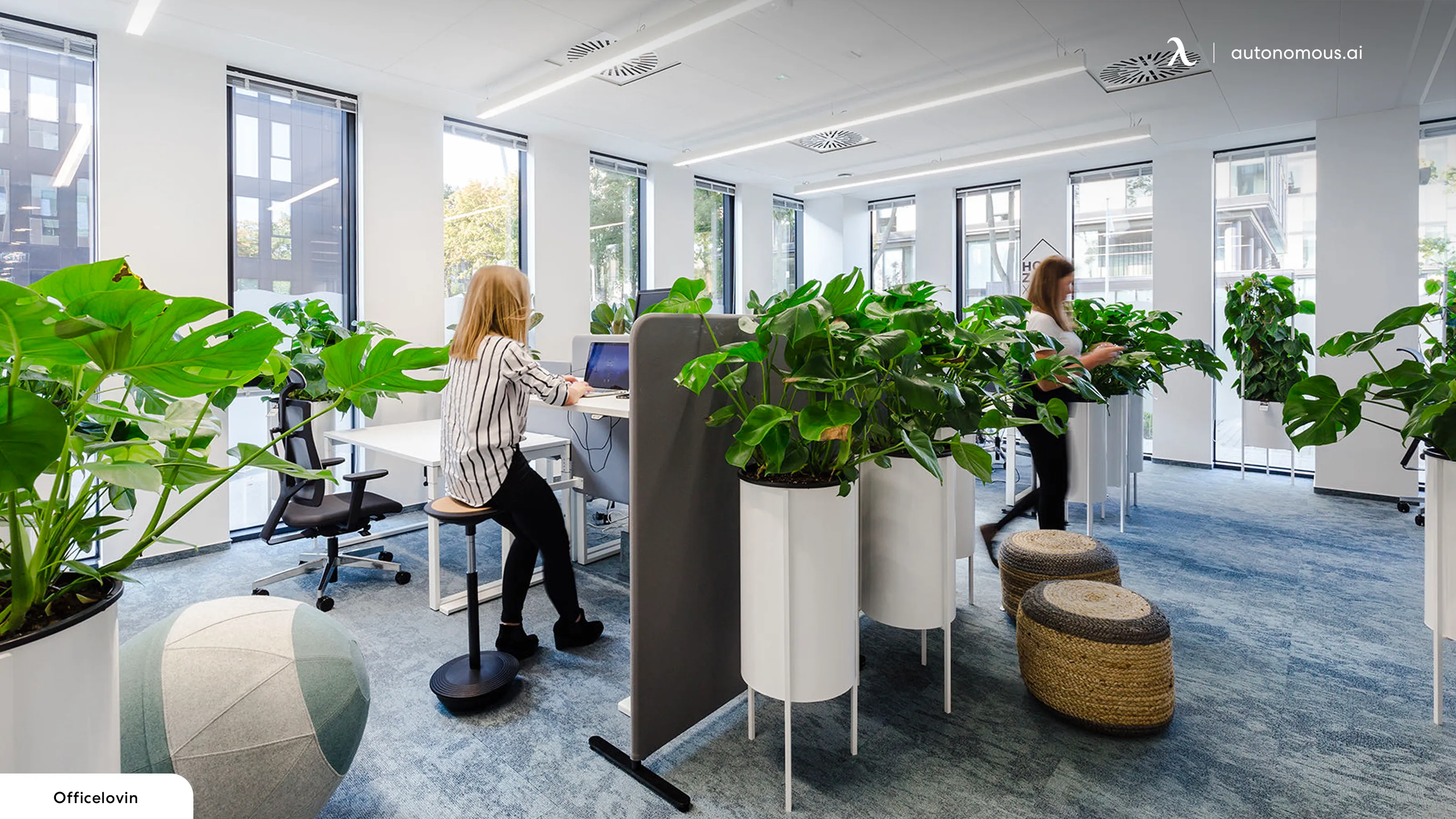 Biophilic Office Design for a Natural & Productive Workspace