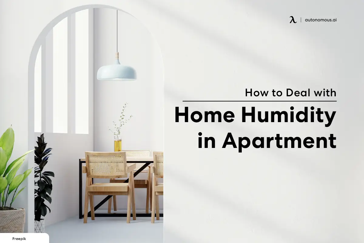How to Deal with Home Humidity in Apartment
