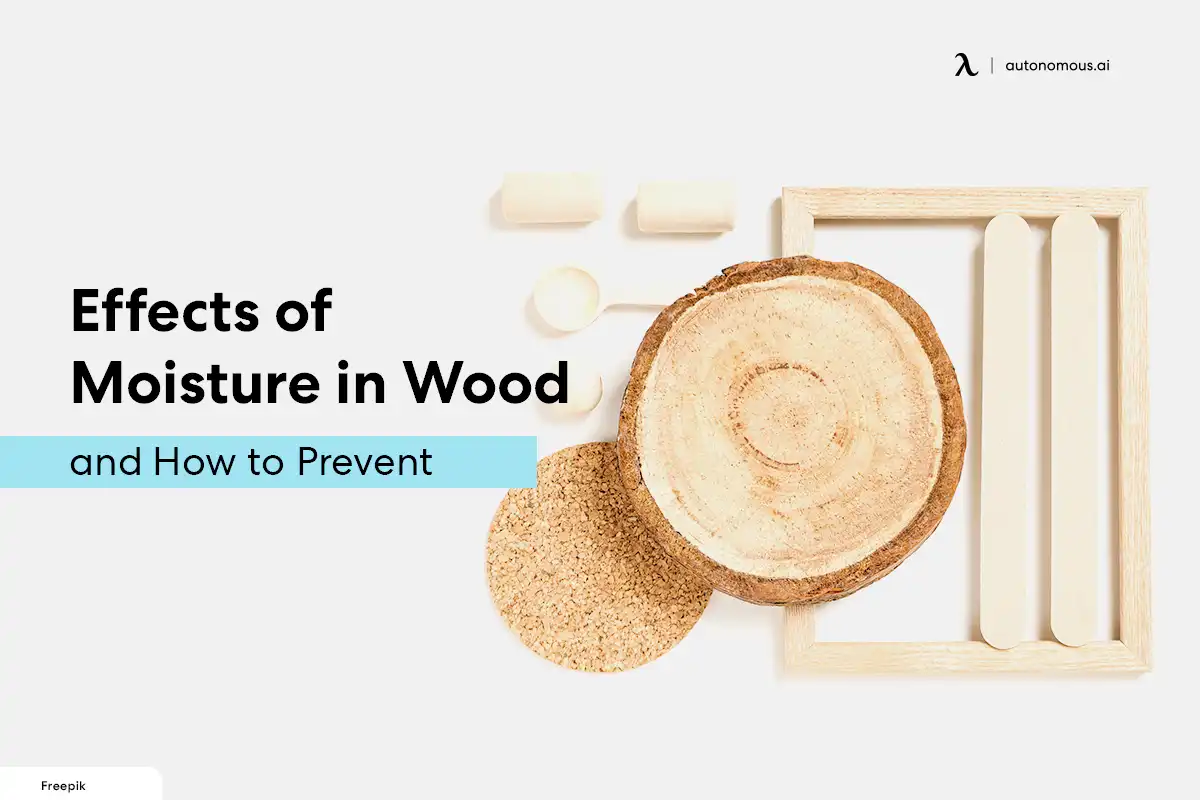 Effects of Moisture in Wood and How to Prevent