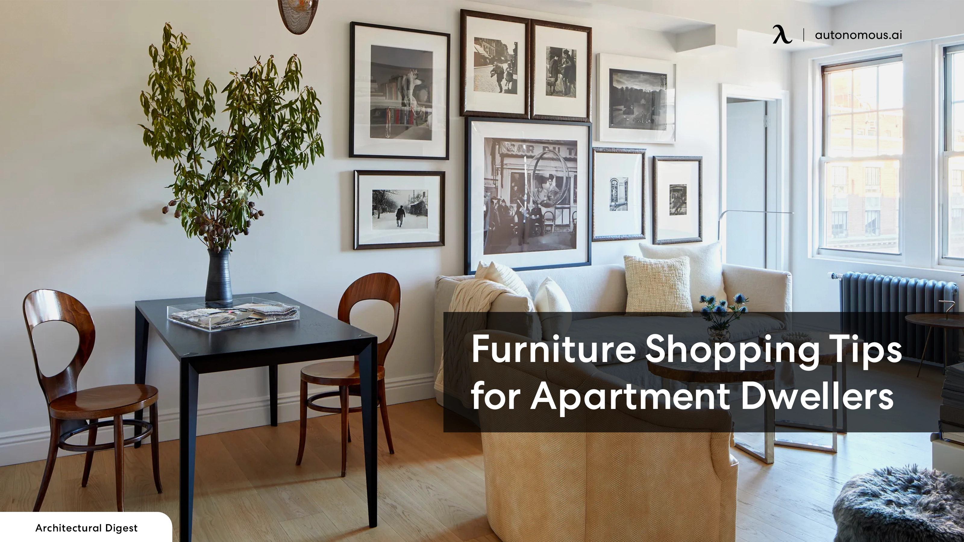 The Art of Small-Space Living: Furniture Shopping Tips for Apartment Dwellers