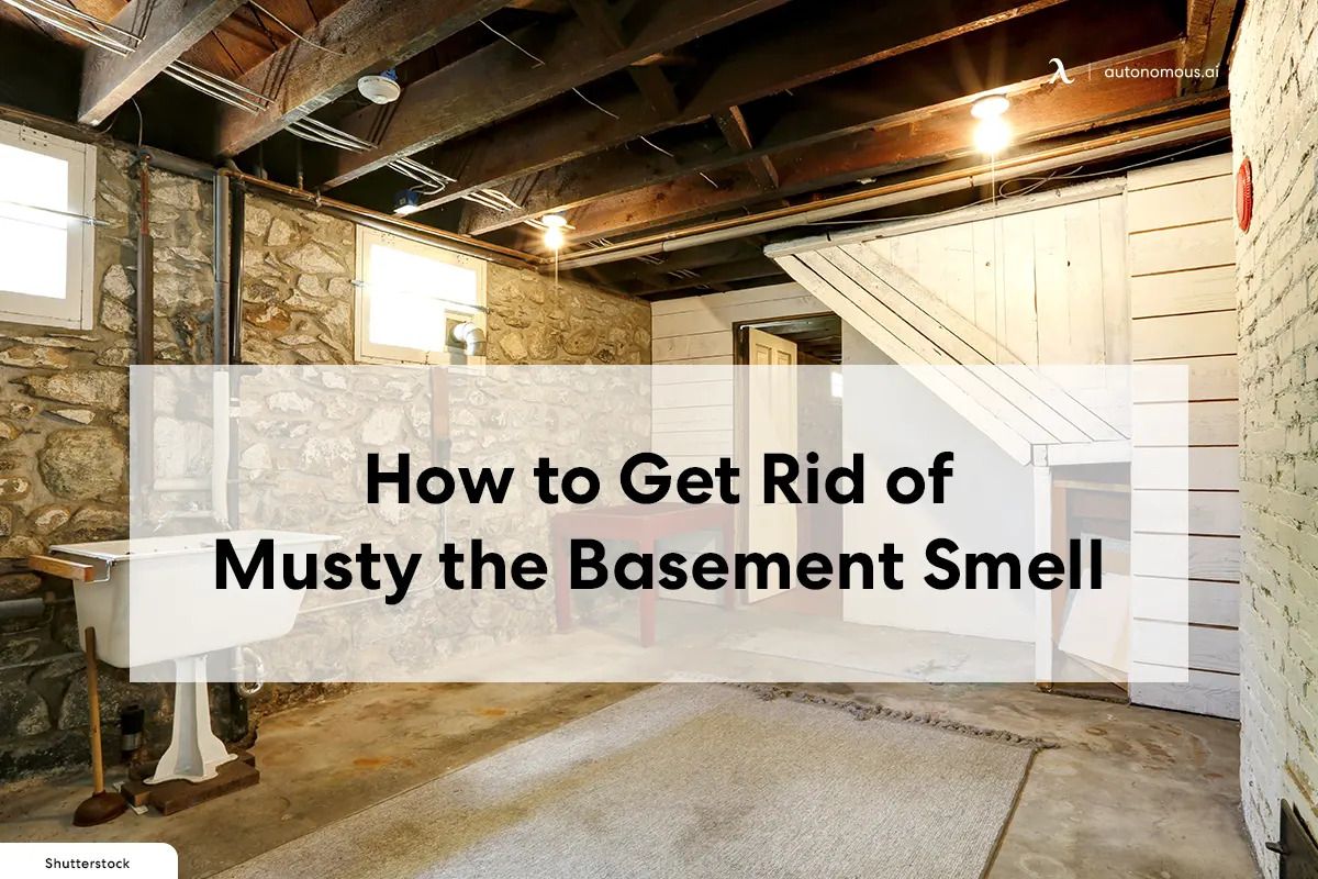 How to Get Rid of Musty the Basement Smell