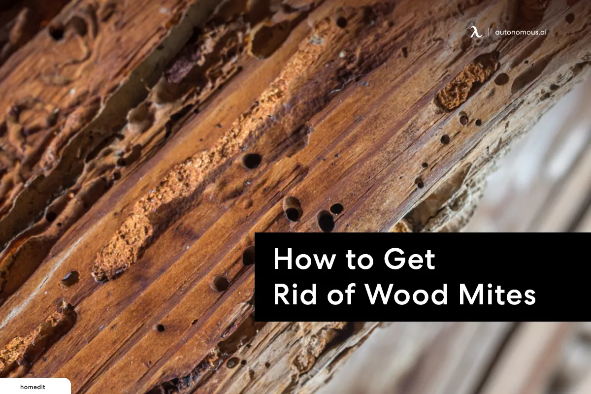 How to Get Rid of Wood Mites for Your Wood House?
