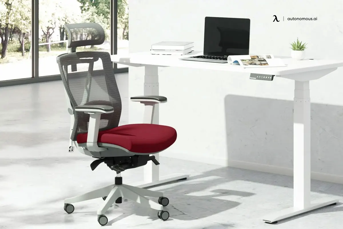 Shop Luxury Office Chairs with High-quality Ergonomics