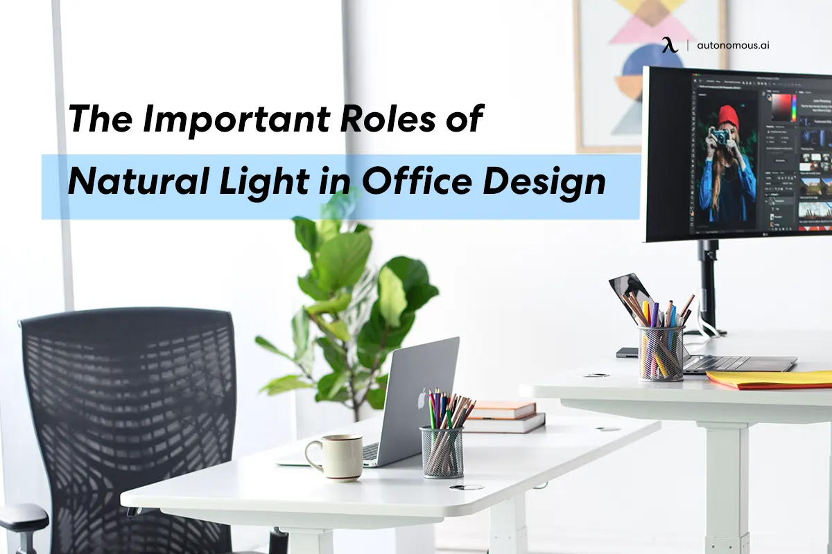The Important Roles of Natural Light in Office Design