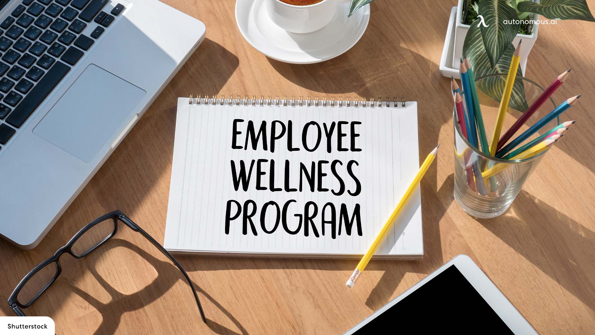 Simple Steps to Set up an Efficient Employee Benefits Program