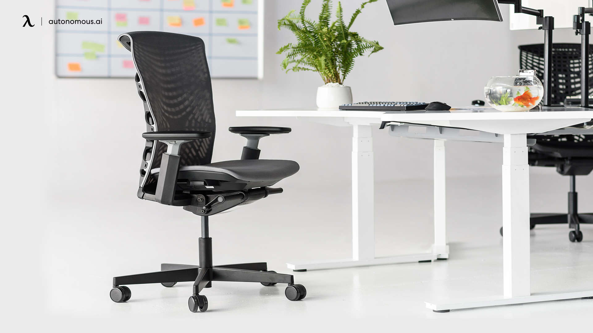 Top 15 Black Ergonomic Chairs That You Need for Your Office