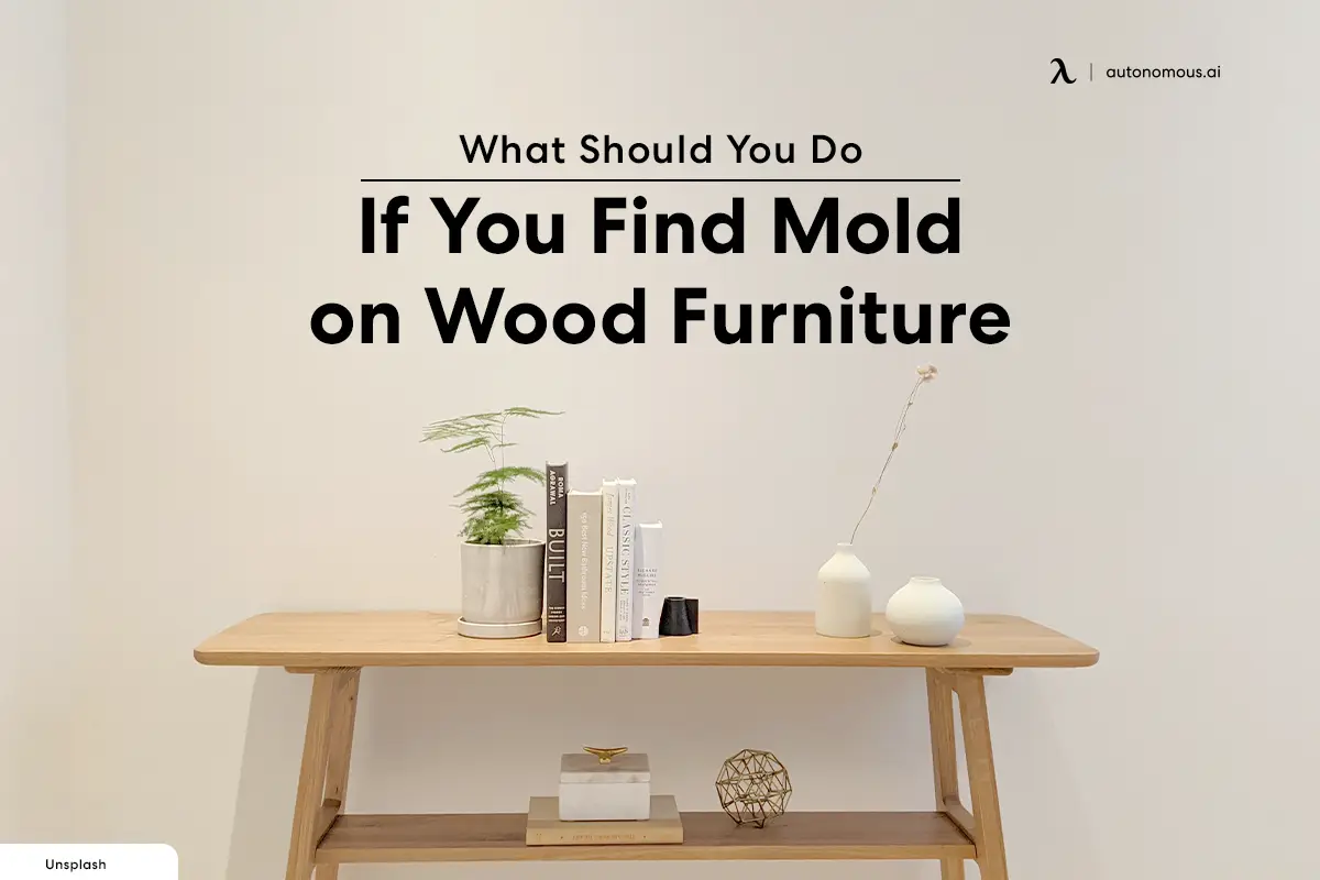 What Should You Do If You Find Mold on Wood Furniture