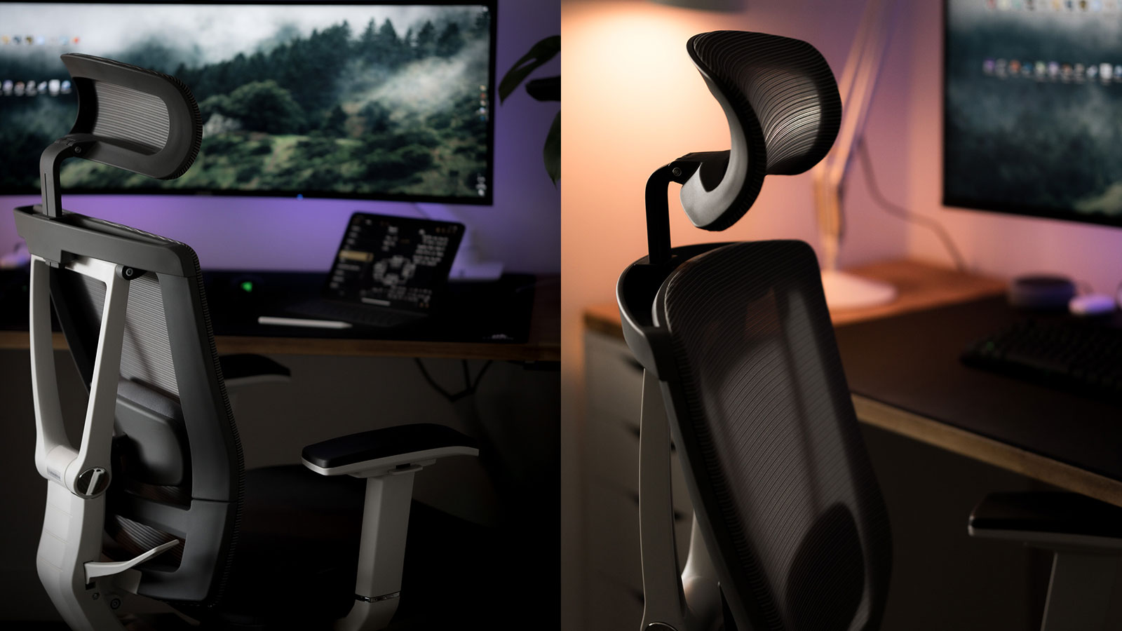 ErgoChair Pro  The Ergonomic Chair that Supports Your Entire Body