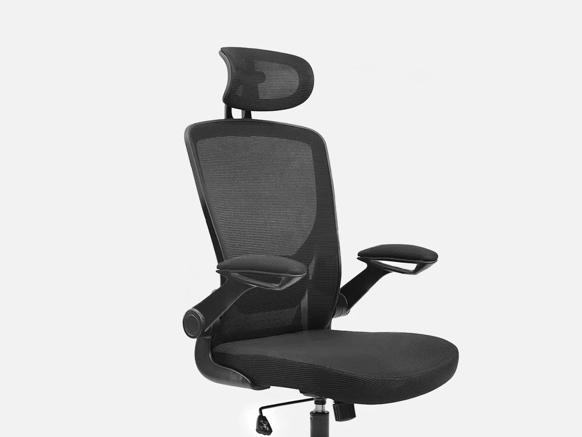 KERDOM Office Chair with Headrest and Adjustable Arms