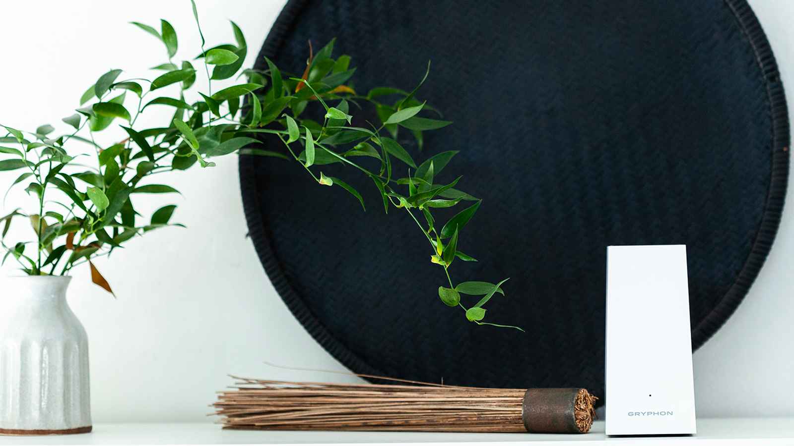 Gryphon AX - Thumbnail 5