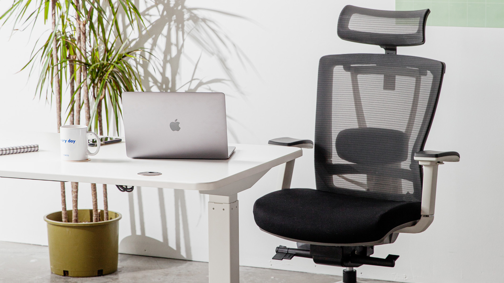 ErgoChair Pro  The Ergonomic Chair that Supports Your Entire Body