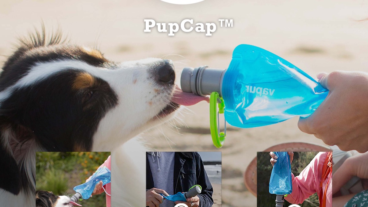 https://cdn.autonomous.ai/static/upload/images/product/image/vapur-ez-lick-dog-water-bottle-0-7l-portable-lightweight-dog-bottle-4931.8400-1687248093944.jpg